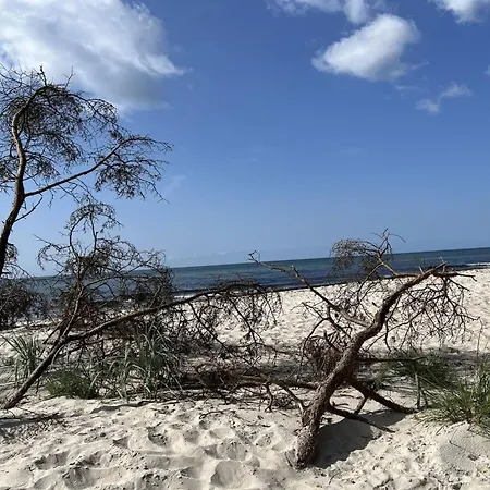 بيت للعطل Sonya - 350m From The Sea By Interhome Neksø